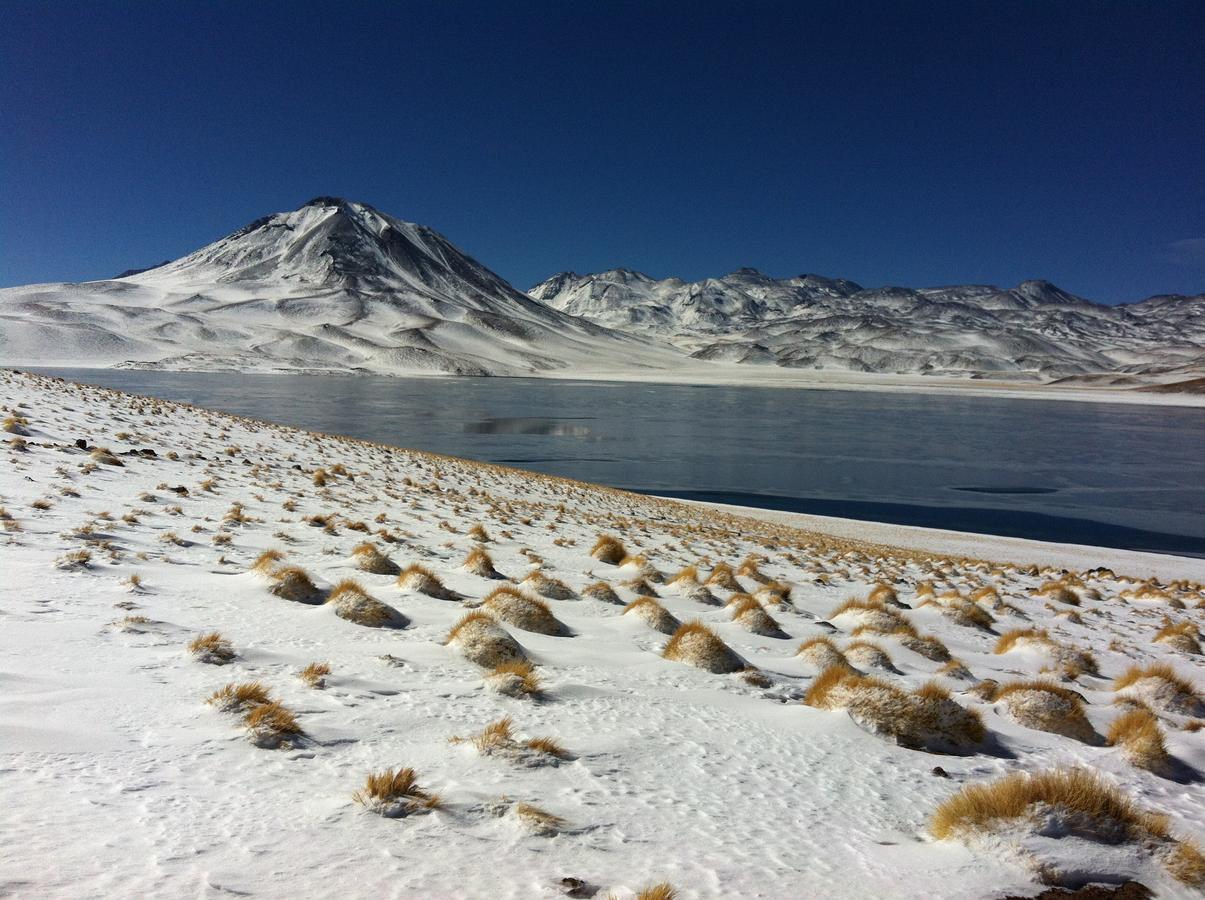Willa Cota6000 Dpto A San Pedro De Atacama Zewnętrze zdjęcie