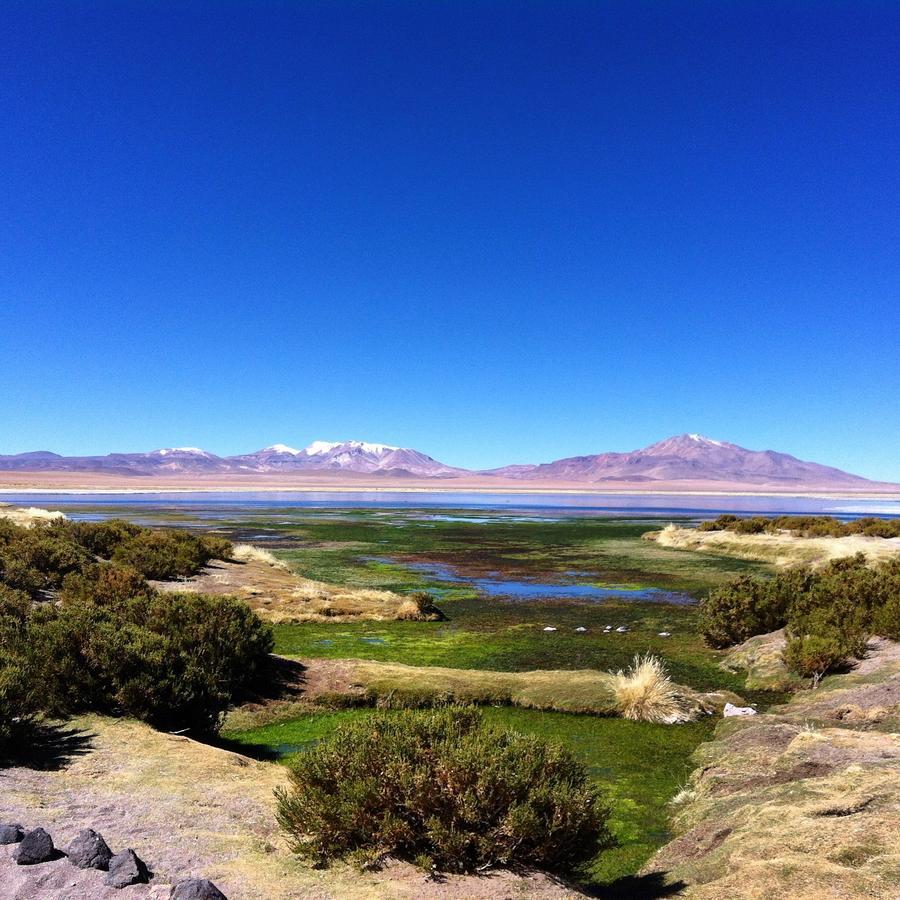 Willa Cota6000 Dpto A San Pedro De Atacama Zewnętrze zdjęcie