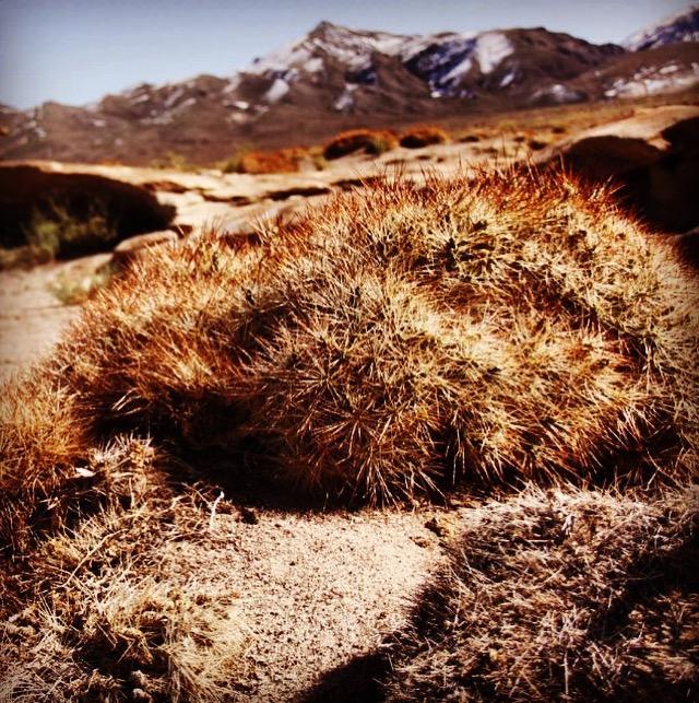 Willa Cota6000 Dpto A San Pedro De Atacama Zewnętrze zdjęcie